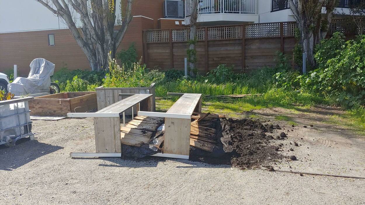 The aftermath of someone associated with Monkeybrains or Mission Kids upturning and destroying two garden beds in which seedlings were planted and cared for by volunteers. Picture from an anonymous volunteer, used by permission.