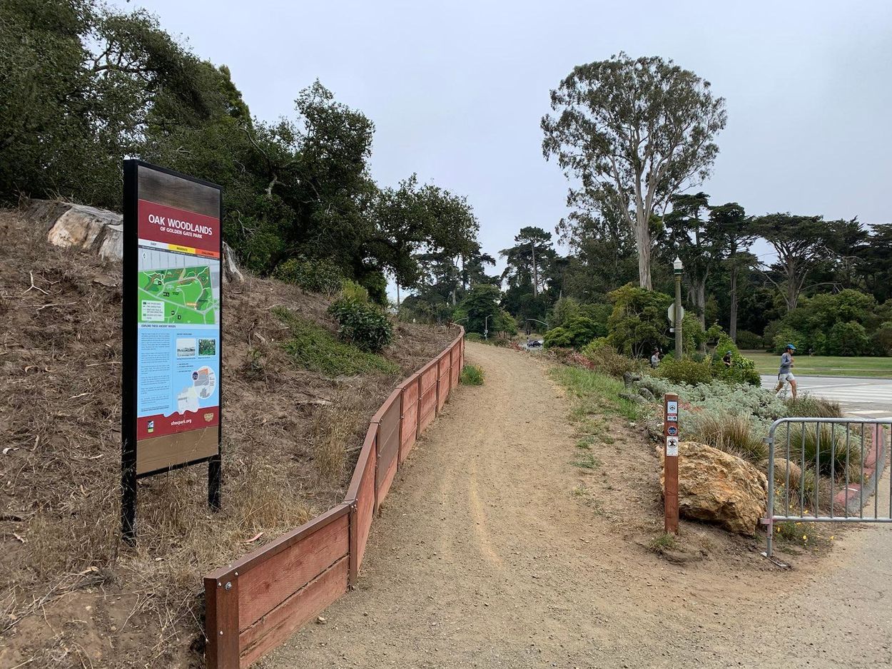 Trailhead for the Phil Arnold Trail, a dirt trail that climbs
moderately uphill and curves left. To the left of the trailhead, a
sign with a map announces the Oak Woodlands of Golden Gate Park. To
the right, a jogger is visible on JFK Promenade.