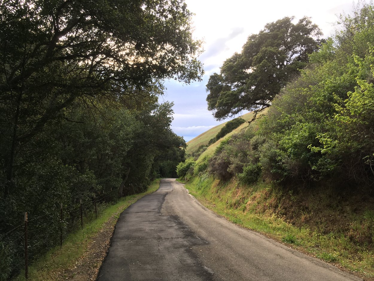 A car-free section of Morrison Canyon Road leads the rest of the way down to the hike start.