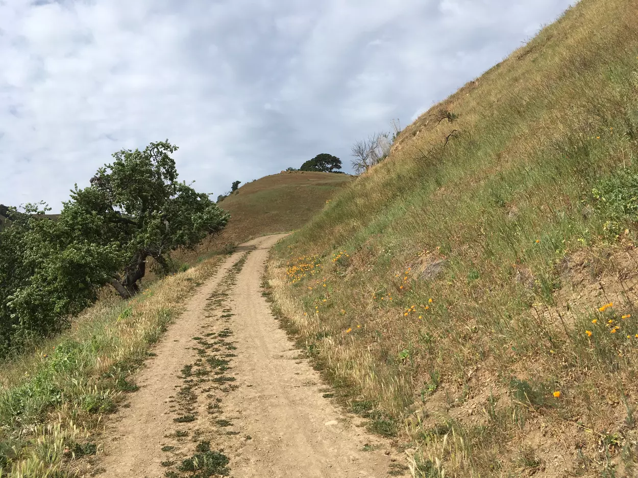 The Cliff Trail starts out with a gradual ascent.